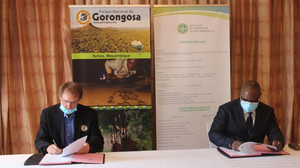 Assinado memorando para restauração do Parque de Gorongosa