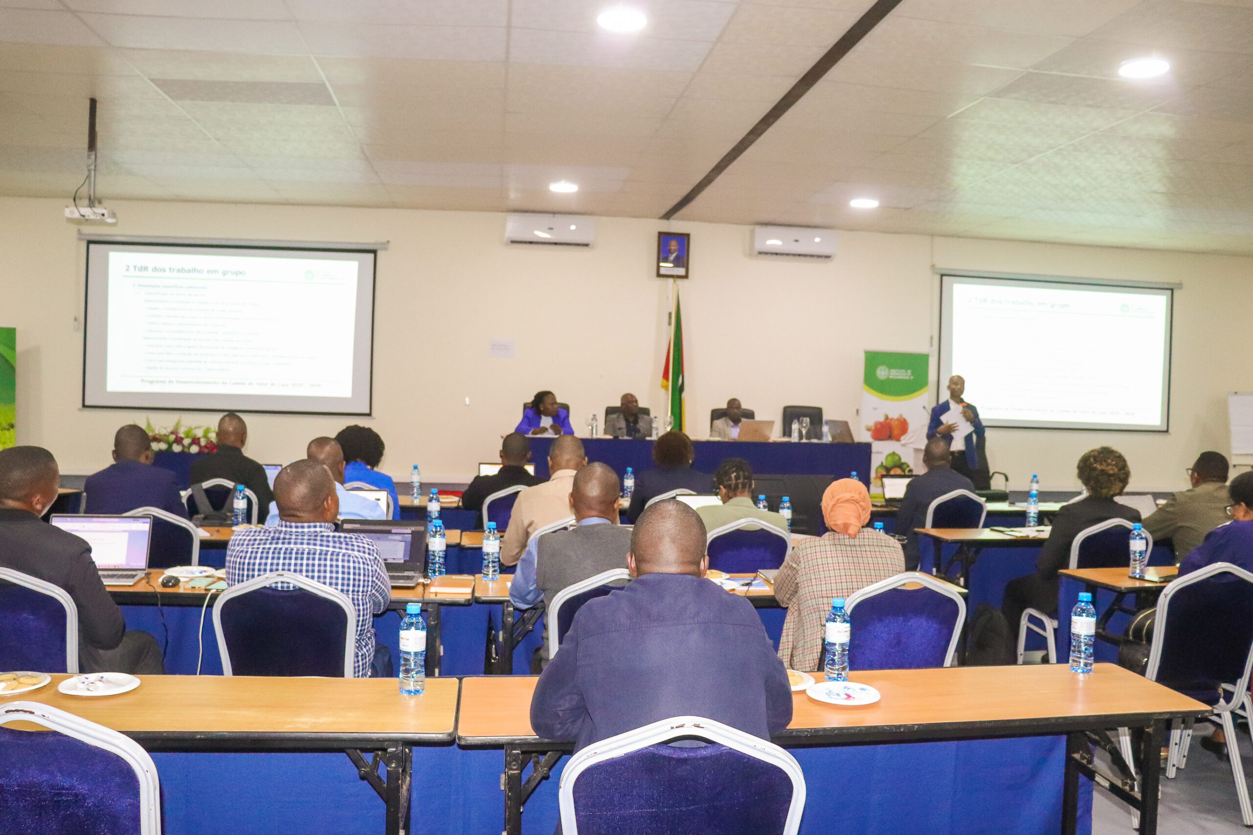 IAM, IP discute mecanismos de implementação do Programa de Desenvolvimento da Cadeia de Valor do Caju 2025-2034