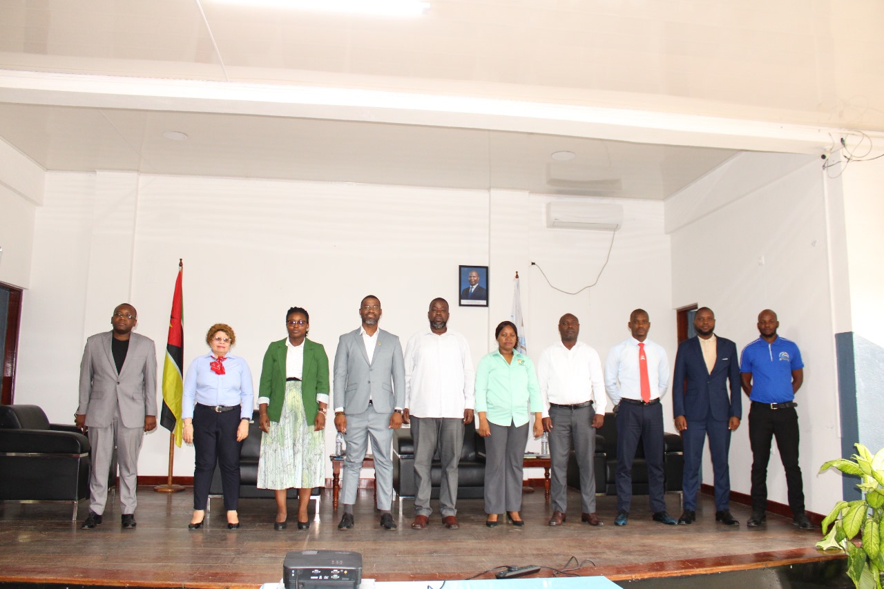 Zambézia prepara campanha de comercialização de castanha de caju com meta de 19 mil toneladas