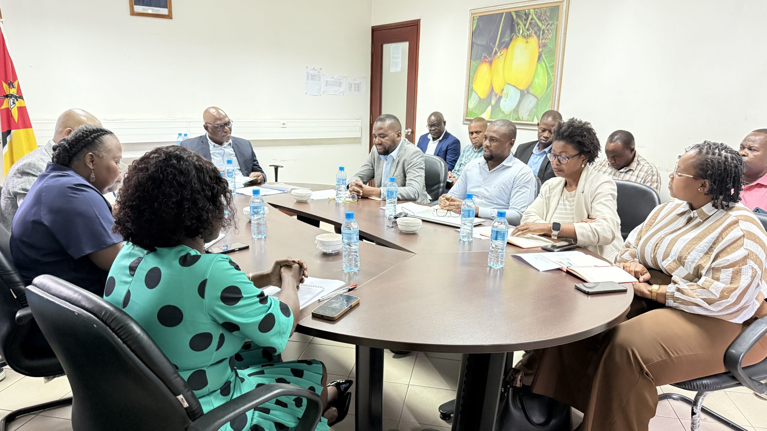 IAM e banca discutem condições de financiamento no segmento de Maneio integrado do cajueiro